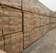 Gạch chịu lửa sa mốt B kt 230x114x65mm